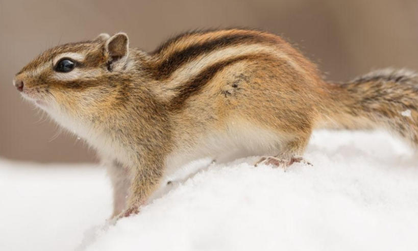 鄂尔多斯益联达商贸有限公司轮播图4