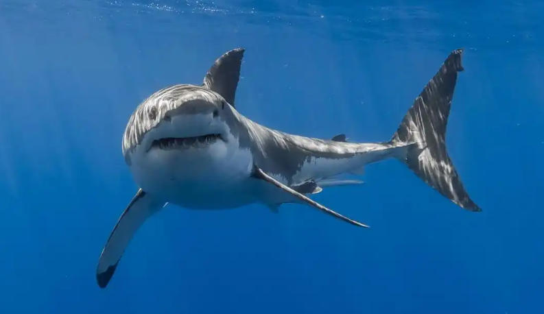 鄂尔多斯益联达商贸有限公司轮播图5